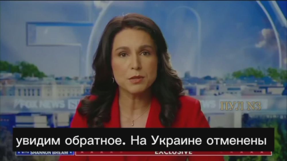 Новый директор национальной разведки США Тулси Габбард на Fox News мочит Зеленского