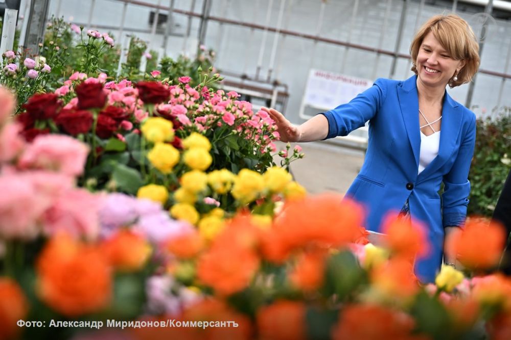 ��� ����������� ������ 3�8 �����: �����, ������ � �����