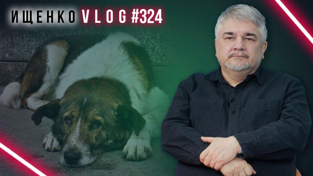 ����� �� ����� ��� ��������? ���� �������� � ��� ������ �������� � ���������� ��������� - ������