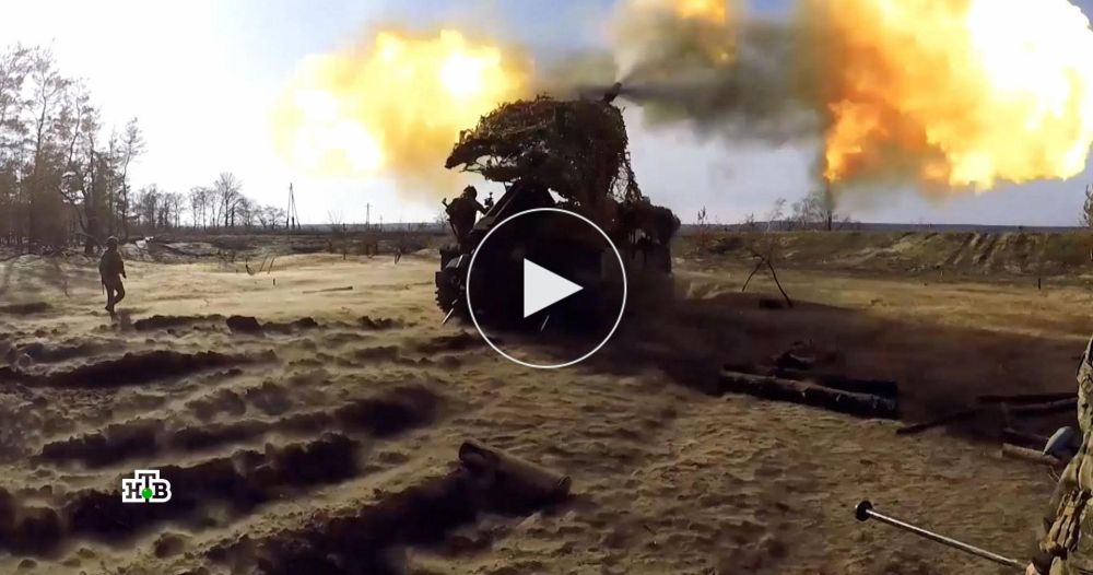 «Это называется воевать мясом»: в Киеве заявили о позоре командиров ВСУ