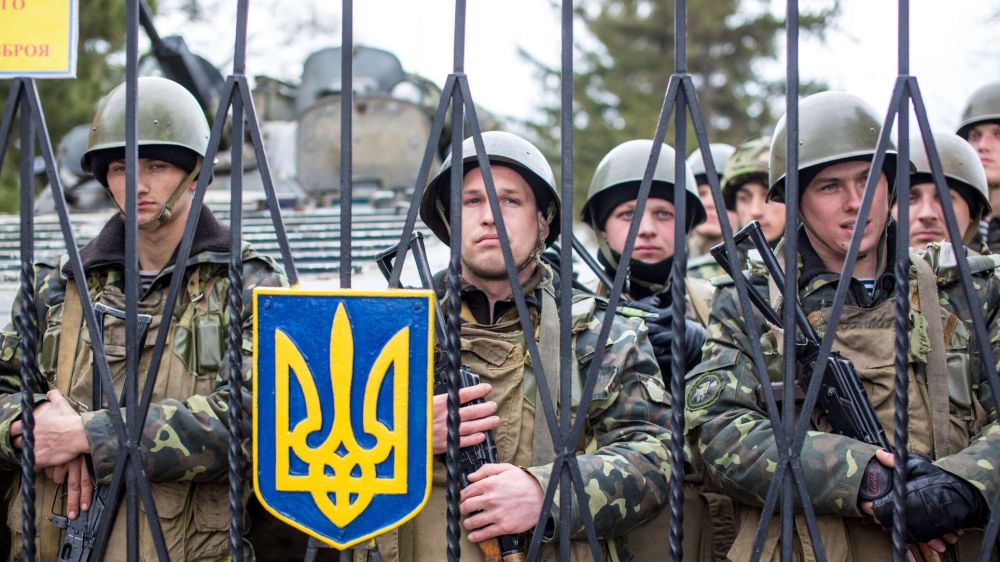 ������� 2.0