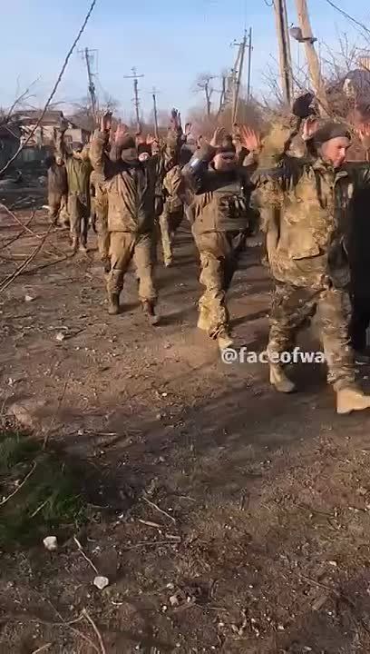 ����� ������: ���������� �������� ���, ��� ������ �������� ������� �������