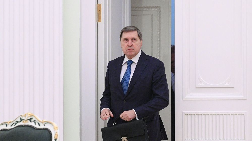 �������� ���� ���: ������ �������� � ������ ������. ������ ��������, ���� ����� �����
