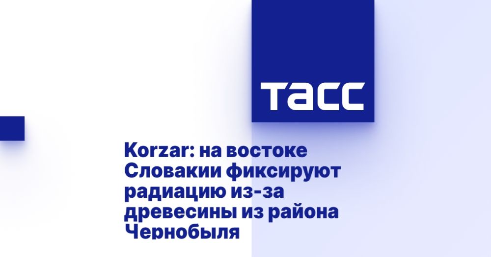 Korzar: на востоке Словакии фиксируют радиацию из-за древесины из района Чернобыля