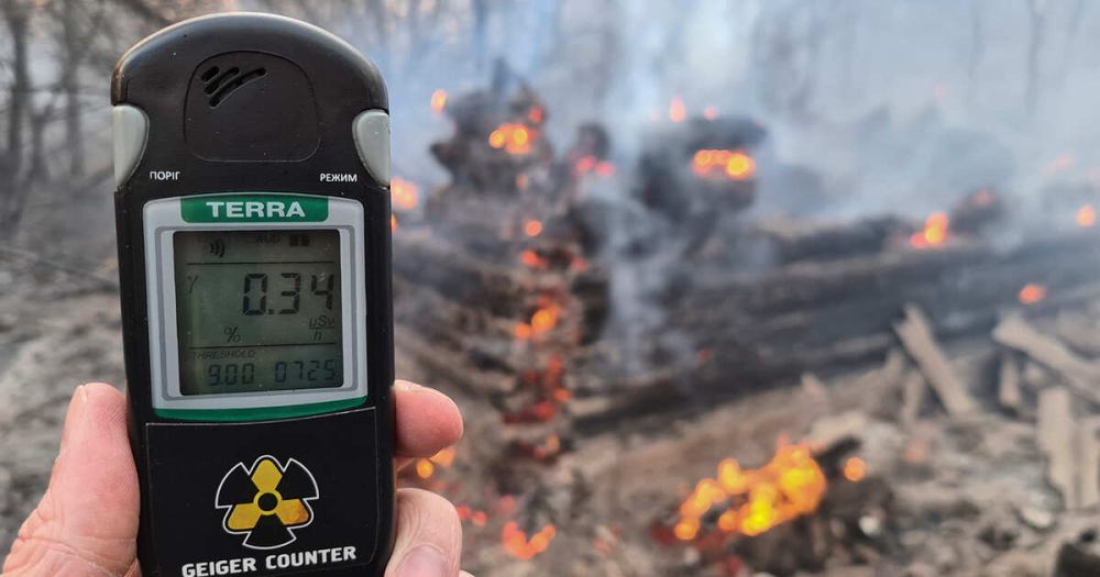 Рост радиации зафиксировали в Словакии из-за чернобыльской древесины