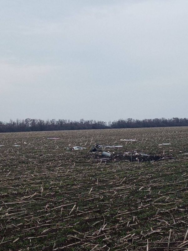 ���� ��������: ����� ����, ��� ������� ������� � �������