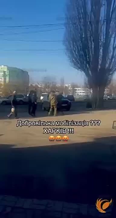 ������� ������: ����������� ��� ������������ ����������� � �������� ���������� ����� ������ �������� ����� ���� ����-��