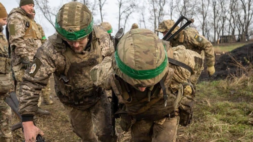 "Курская зрада": полковник запаса объяснил, почему под Суджей стремительно посыпалась оборона ВСУ