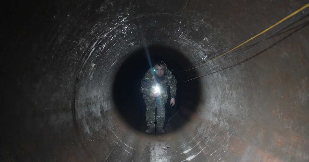 ������ � ����� ����� �����: ��� �������� � ������� �������� "�����"