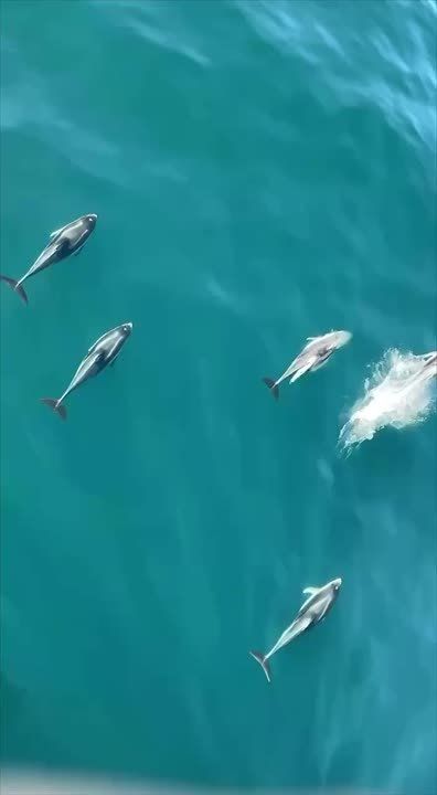 ����� ����������: 11 ��������� ������������� ����� � �������, ������� ���������� ����� �� ����, ���������� �� ��� ���������� ������������ �����, � �������� ������ 18 �����: