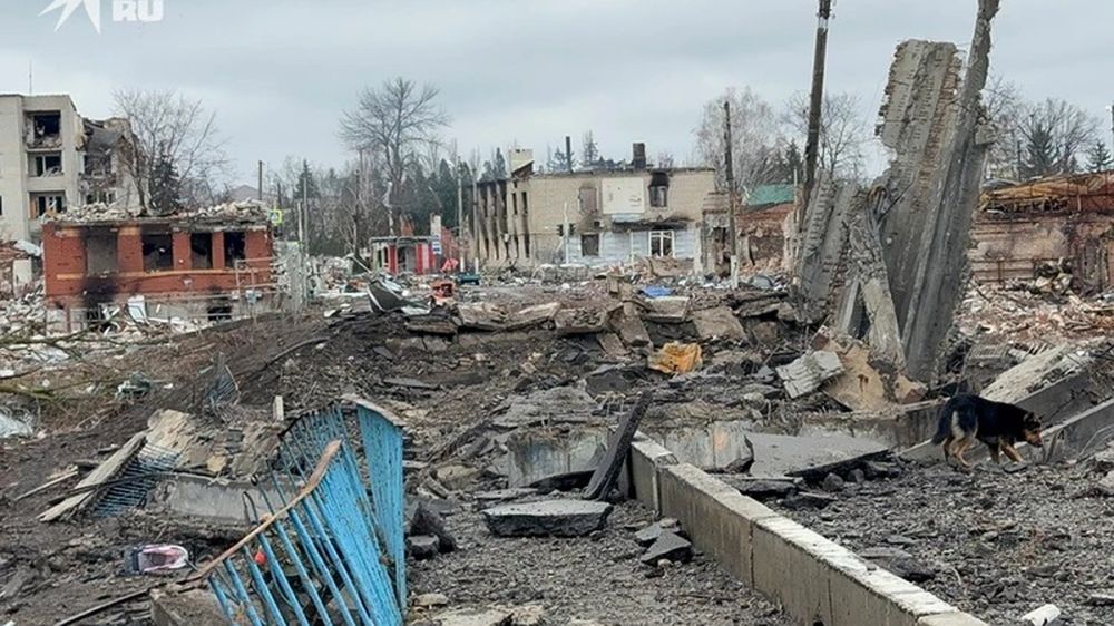 ����������� ���� ������� �������: ������� ��� ��������� � ����������� ��� � �����