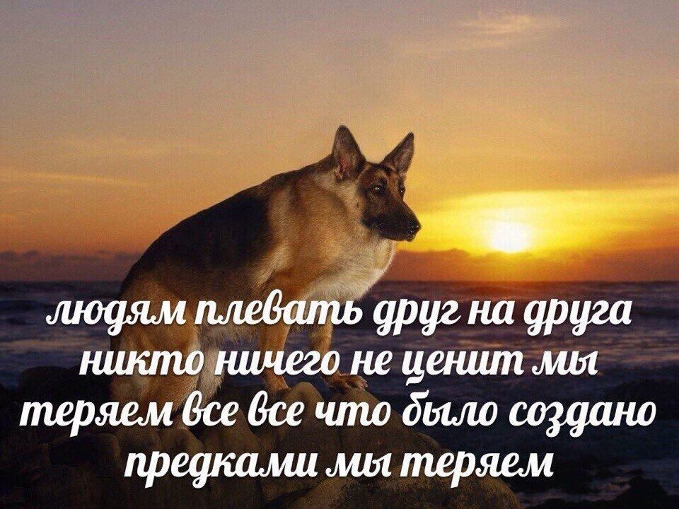 ������� ������: ������������ ���� ��������� ������������ � ������������ ������� - ���������� ������� ����� ������������ ������������ ����� ��������