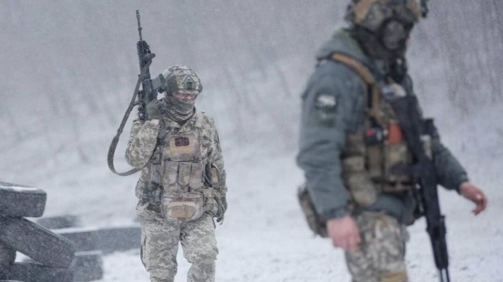 "������, ����� �������": ���������� � ������� ������� ��� � �������������� ������ ������������