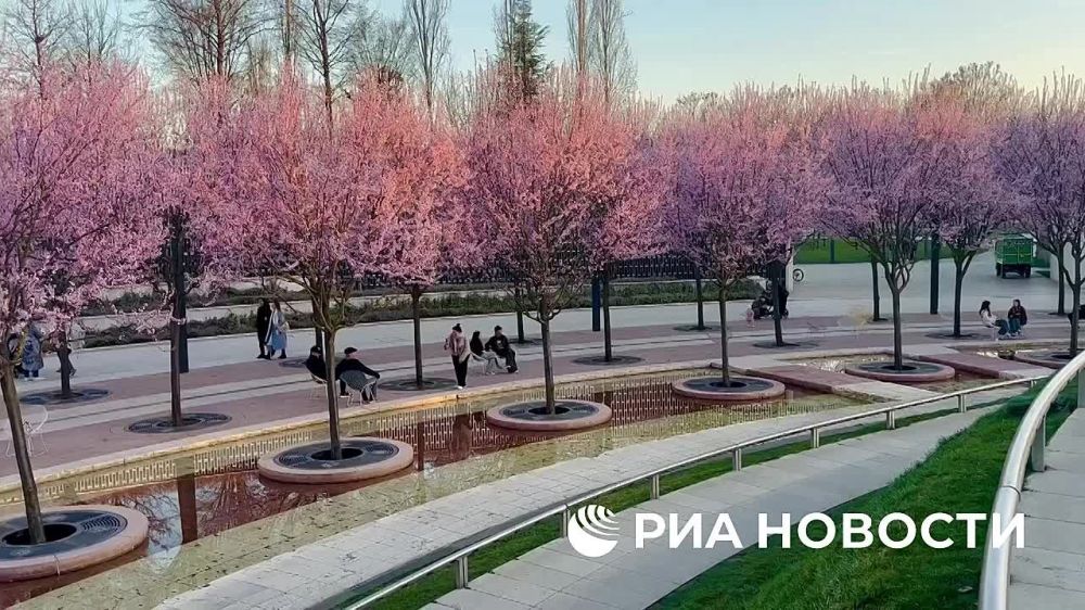 ����� ����������: � ��� ������������ � ��-����� ������ � ���, ��������� ������ � ������� ��������������, ������� ��������� ����� �������� � ������� ����, � ������ ������ 25 �����: