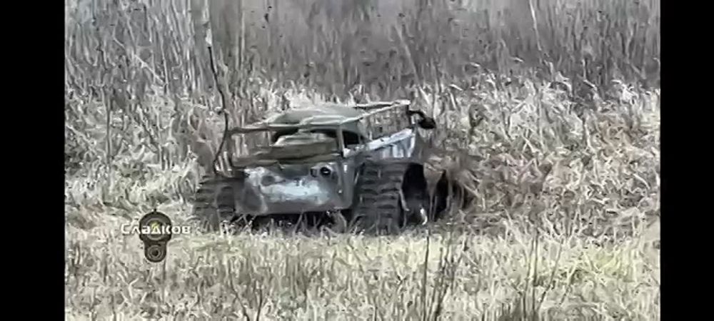 ��������� �������: �������� ���������, ���� �� ��� ��������� �������������, �� ��������, ��� ������������� �������� ��� ���� �� ������