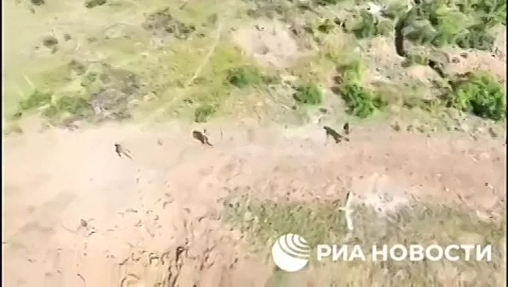 ���� ��������: ��� ����� ������ ������� �� �� ������� �����, � �� �� ������ � ������� �������: ���� ������� ����������� �� ���� � ��� ������� �� ����������, ������ ������, �������� �������� ��������� � ������