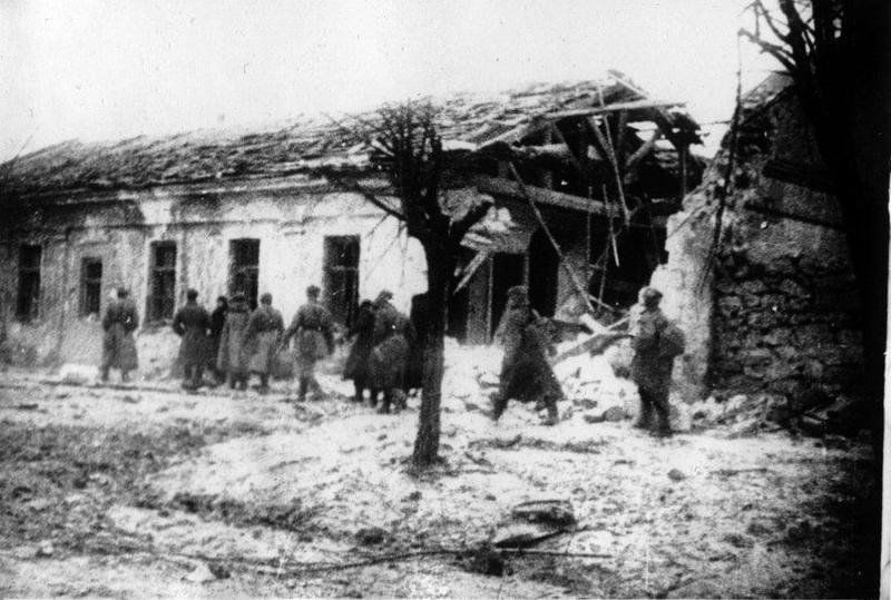  : 28  1944            ,    2,5 