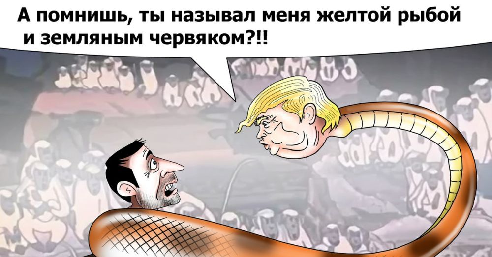 ������ �����������: ��� � ����� ���� ������� � �������