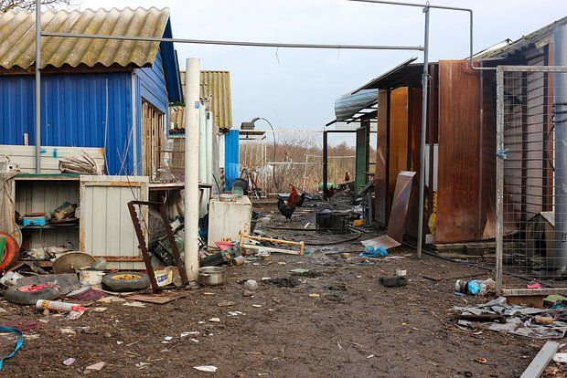 ����: ��� ��������� �������� ������ ������� �� ��������� � ������� �������