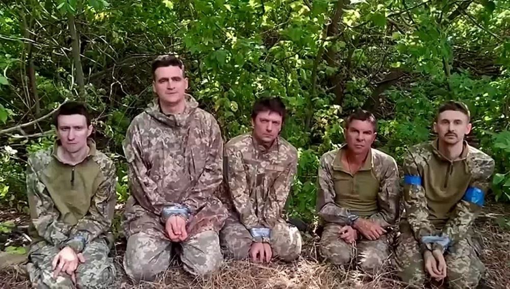 ������� ���������: � ��� �������� ����� ������ ����� ������ �����������