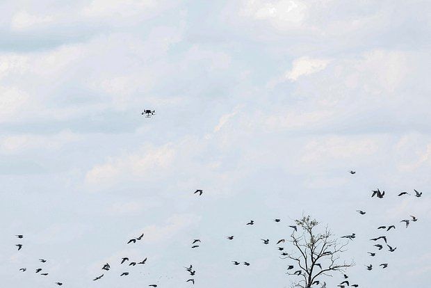 ��������� ���������� �����: ��� ��������� ������� ������ ����� �� ���������