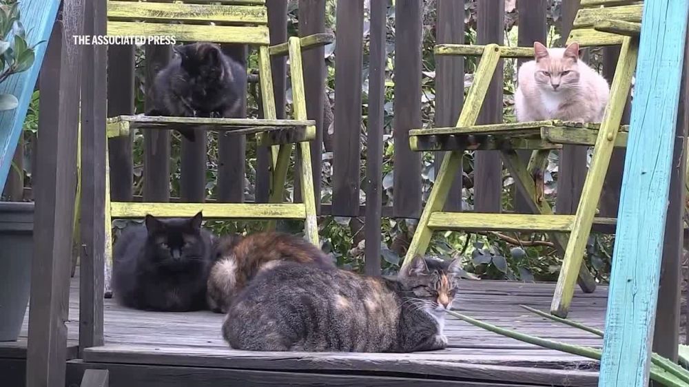 ����� ����������: � ������ ����������� ����������� 580 �� ����������, � �������� ������� ���� ���� ������ ��������, �������� � ��� ����� ���� �������� ������� ���������, � ������ 6 ������: