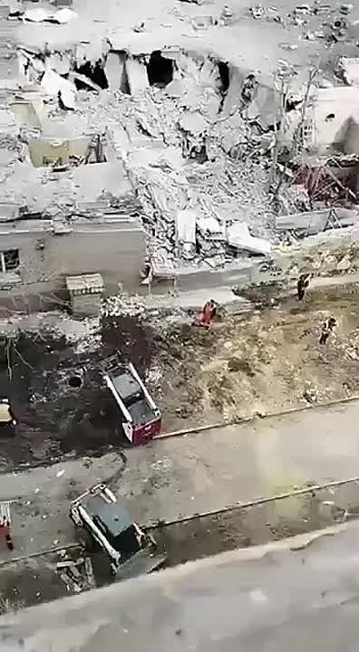 ������ ����������: �������, ������ ���. ������ ������� � ������, ��� ����������� ������� ����� ������������������� ������������� � ��������� ����