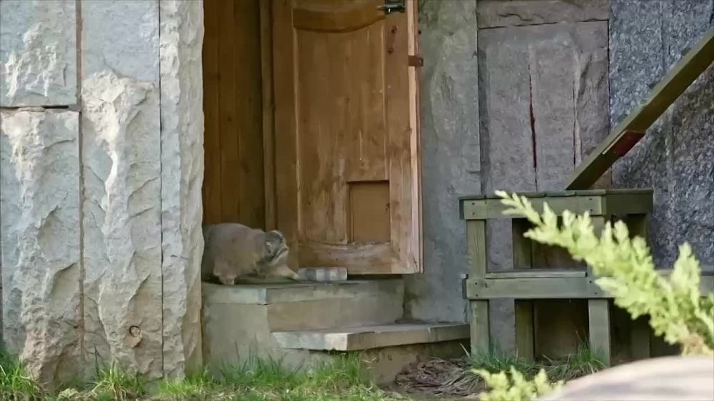 ������� ����������� �� ������� ������, ������ ����� ���������� ��������� ��������� ������, �� ������� ���������� ��� �������� �� ������� ������, � ������� ������ 7 ������: