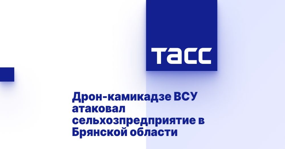 Дрон-камикадзе ВСУ атаковал сельхозпредприятие в Брянской области