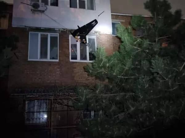 ���� ����: 164 ���������� ������������� � ������ ���������� ��� ��� ��������� ��: 67 � ��� ������������� �����, 29 � ��� ����������, 15 � ��� �������� �������-�������, 11 � ��� ����������� ���, 10 � ��� �������, 5 � ���...