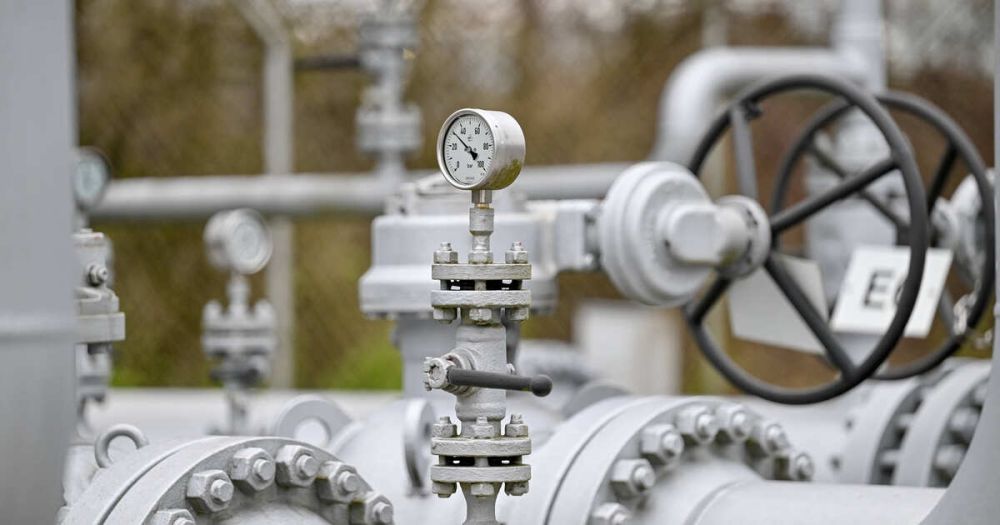 ��������������� ���������: ����� ���� ������� �������������� "��������� ������"