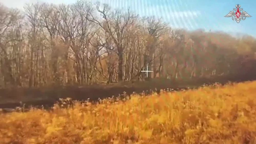 ���� �������: ��������� ��������������� ������ � ���������� �� ������� �����������