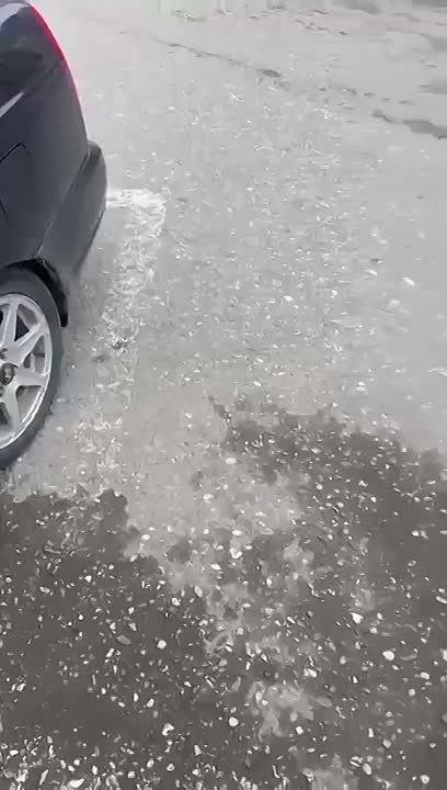 � ��������� ������ ����� ������ ������� ����� �� ������� ������� ���� ���������� ���� 17-������� �����