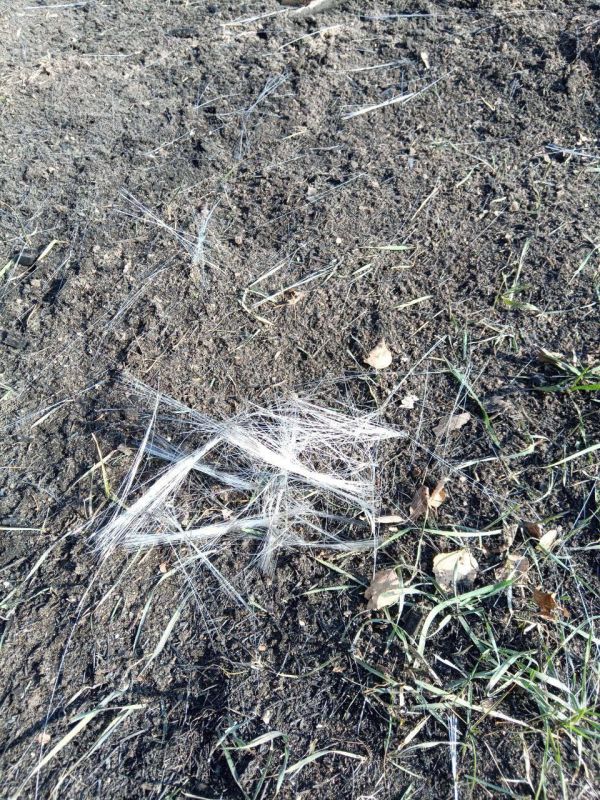 ������� ����� �� ����. ����������������� ��� ��������� ������� ��������� �� ����� ��������� ���������