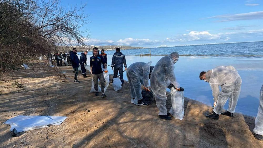 Мазут в Керчи и переговоры РФ и Украины по Черному морю: главное за день