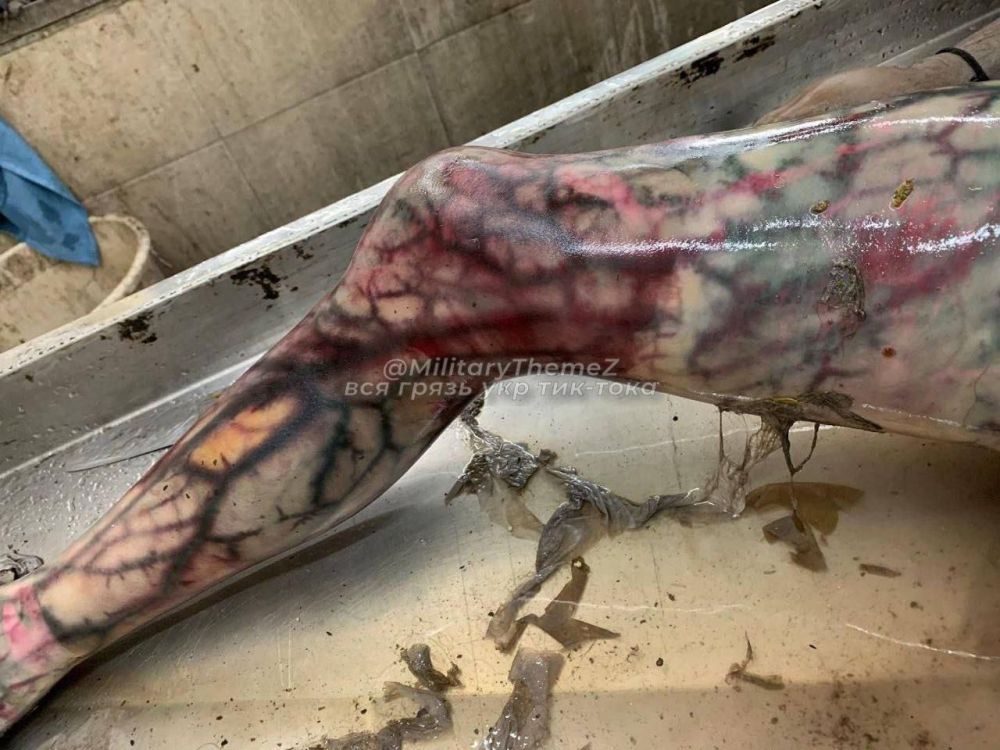 Судя по всему, из киновселенной Марвел на Украину прибыл Веном