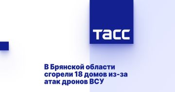 В Брянской области сгорели 18 домов из-за атак дронов ВСУ