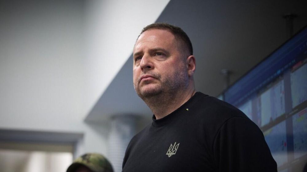    ,    ,   .     13:00 17 