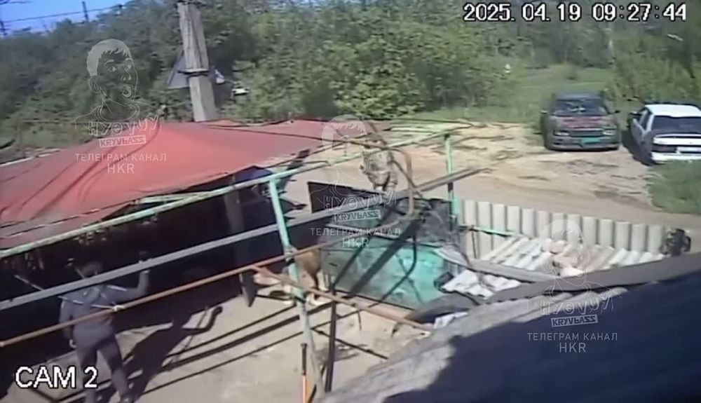 "Боже, помоги мне быть таким человеком, каким считает меня моя собака"