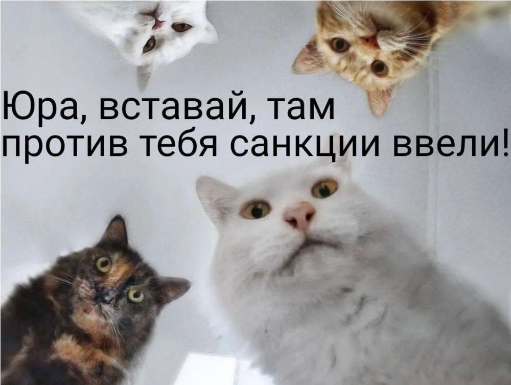 ������ ����������: ��������� ���� ������� ������ ���� ���������