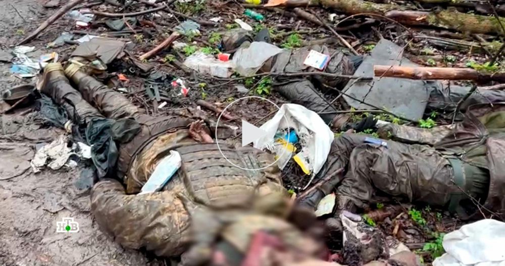 ������ ����, ��� �������: ��� ������ �� ������� �������, ������ ���� ������