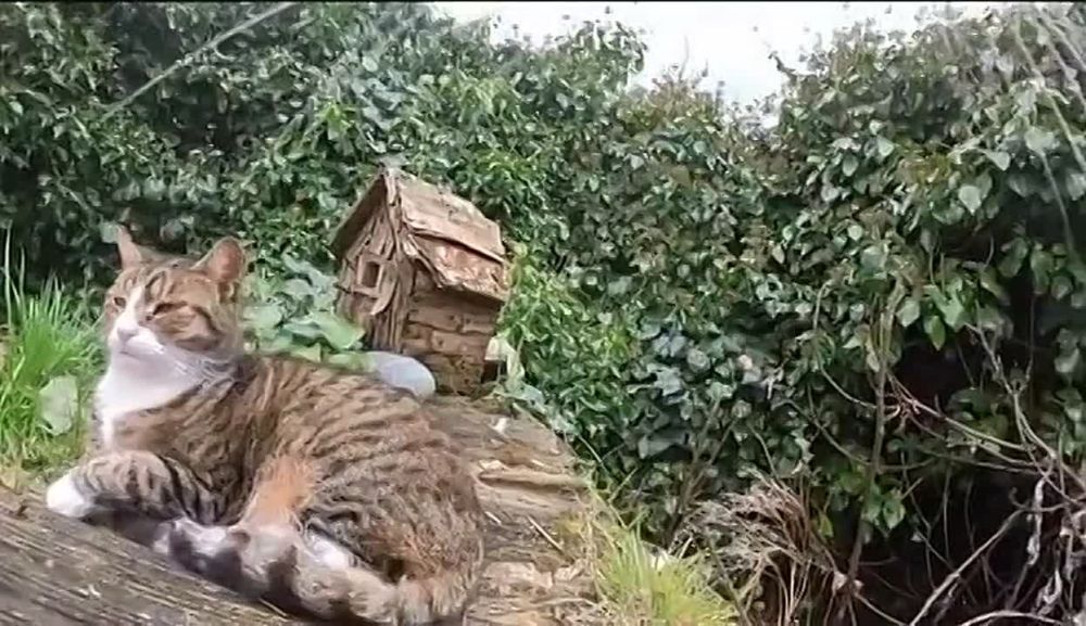 ����� ����������: ������� ����������� ���������, ������� ������ �� ��������� ����������� ��� ���������������� ����������, ����� ���������� ����� ���������� �����, � ������ 20 ������: