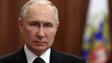 Путин: Поставляемое Украине оружие постоянно оказывается на чёрных рынках