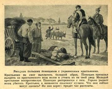Варшава не может бесконечно обращаться с украинцами как со своими гражданами —  кандидат в президенты Польши от правящей "Гражданской платформы" Рафал Тшасковский
