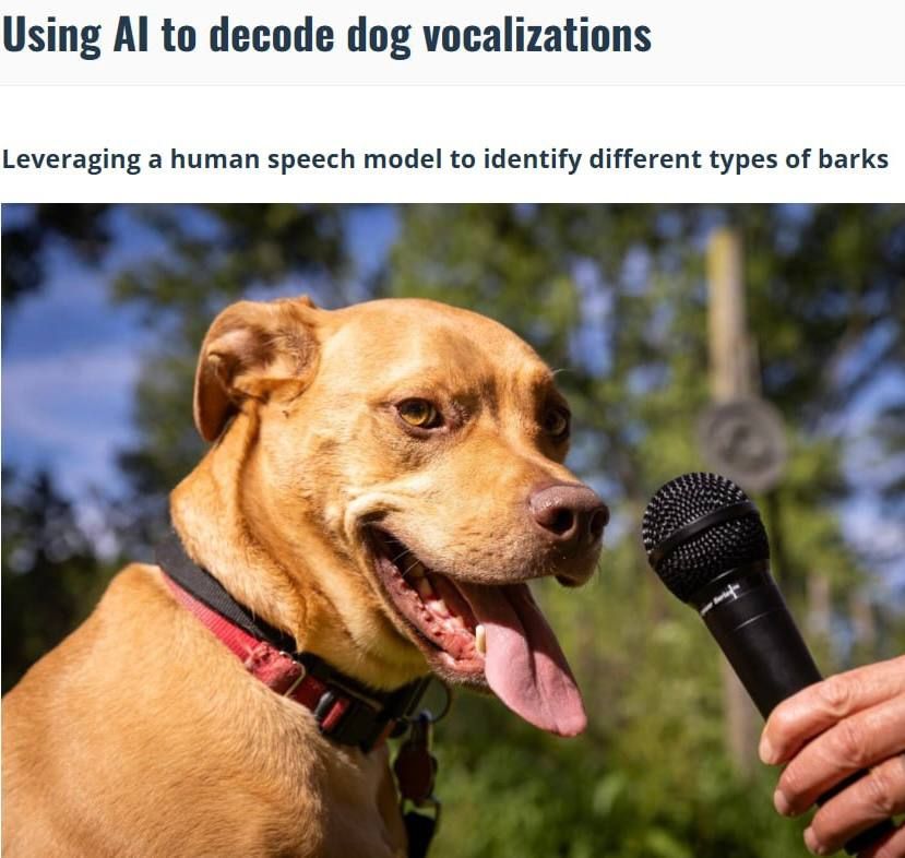 �� ����������� ������� ���, �������� ������ ������������ ������������