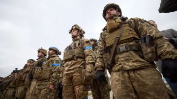 "Даже чиновник Зеленского это признал": Хитрый план по увеличению украинской армии обернулся провалом