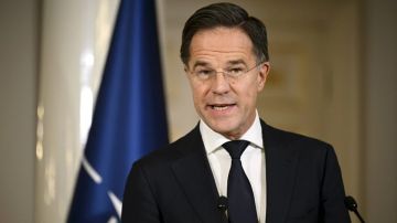 FT: Рютте призовет США не принуждать Украину к сделке о мирном урегулировании