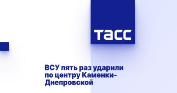 ВСУ пять раз ударили по центру Каменки-Днепровской