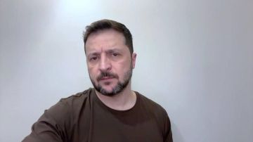 Зеленский в ЮАР: платиновый бизнес и попытка расколоть Глобальный Юг