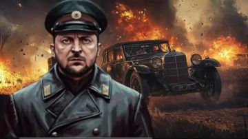 "Пусть убирается обратно": В ЮАР левые протестовали против Зеленского